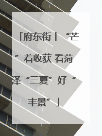 府东街丨“芒”着收获 看菏泽“三夏”好“丰景”