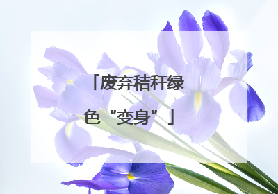 废弃秸秆绿色“变身”
