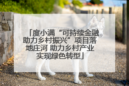 度小满“可持续金融助力乡村振兴”项目落地庄河 助力乡村产业实现绿色转型