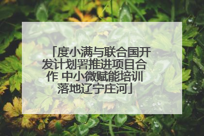 度小满与联合国开发计划署推进项目合作 中小微赋能培训落地辽宁庄河
