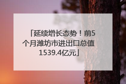 延续增长态势！前5个月潍坊市进出口总值1539.4亿元