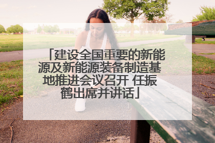 建设全国重要的新能源及新能源装备制造基地推进会议召开 任振鹤出席并讲话