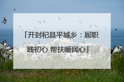 开封杞县平城乡：履职践初心 帮扶暖民心