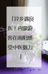 异乡遇良医！内蒙游客在南阳感受中医魅力