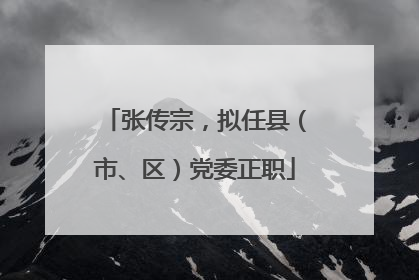张传宗，拟任县（市、区）党委正职