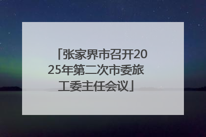 张家界市召开2025年第二次市委旅工委主任会议