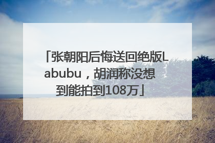 张朝阳后悔送回绝版Labubu，胡润称没想到能拍到108万