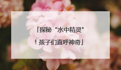 探秘“水中精灵”！孩子们直呼神奇