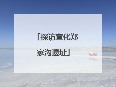 探访宣化郑家沟遗址