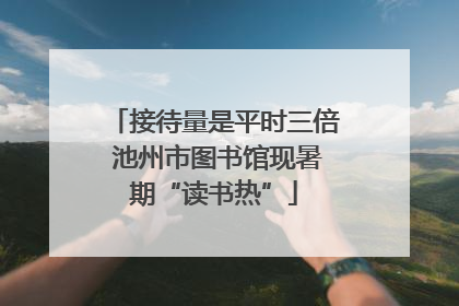 接待量是平时三倍 池州市图书馆现暑期“读书热”
