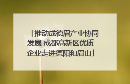 推动成德眉产业协同发展 成都高新区优质企业走进德阳和眉山