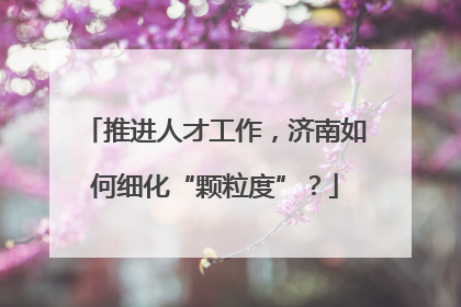 推进人才工作，济南如何细化“颗粒度”？