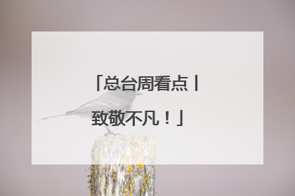 总台周看点丨致敬不凡！