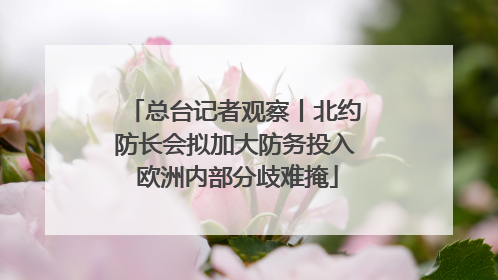 总台记者观察丨北约防长会拟加大防务投入 欧洲内部分歧难掩