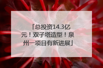总投资14.3亿元！双子塔造型！泉州一项目有新进展