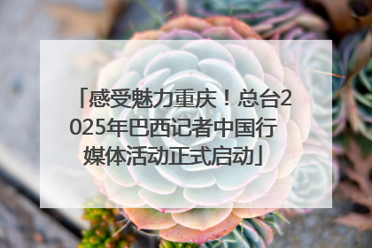 感受魅力重庆！总台2025年巴西记者中国行媒体活动正式启动