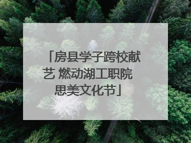 房县学子跨校献艺 燃动湖工职院思美文化节