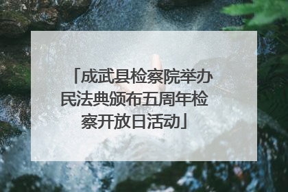 成武县检察院举办民法典颁布五周年检察开放日活动