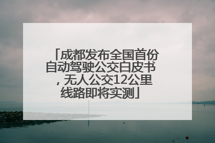 成都发布全国首份自动驾驶公交白皮书，无人公交12公里线路即将实测