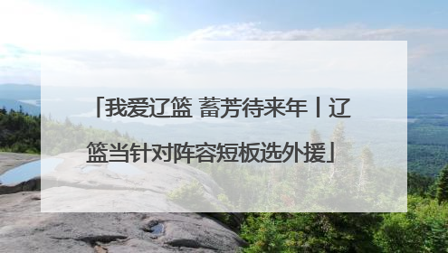 我爱辽篮 蓄芳待来年丨辽篮当针对阵容短板选外援