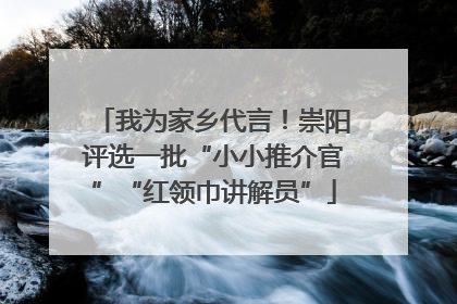 我为家乡代言！崇阳评选一批“小小推介官”“红领巾讲解员”