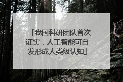 我国科研团队首次证实，人工智能可自发形成人类级认知