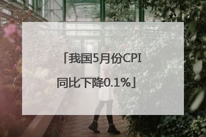 我国5月份CPI同比下降0.1%