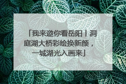 我来邀你看岳阳丨洞庭湖大桥彩绘换新颜，一城湖光入画来