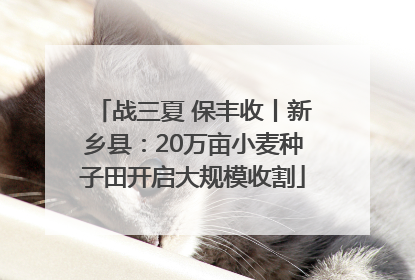 战三夏 保丰收丨新乡县：20万亩小麦种子田开启大规模收割