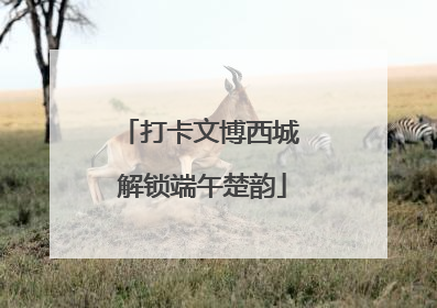 打卡文博西城 解锁端午楚韵