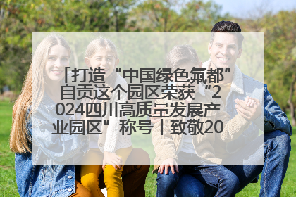 打造“中国绿色氟都” 自贡这个园区荣获“2024四川高质量发展产业园区”称号丨致敬2024经济影响力人物