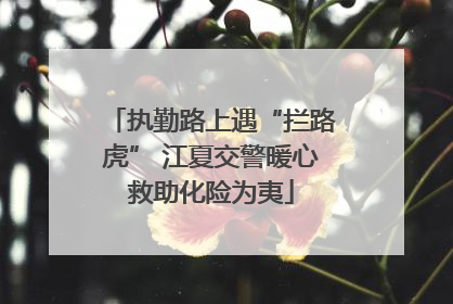 执勤路上遇“拦路虎” 江夏交警暖心救助化险为夷