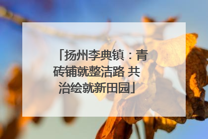 扬州李典镇：青砖铺就整洁路 共治绘就新田园