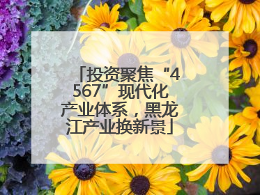 投资聚焦“4567”现代化产业体系，黑龙江产业换新景