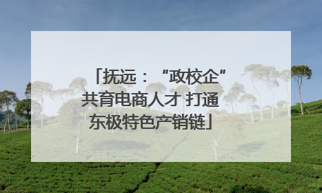 抚远：“政校企”共育电商人才 打通东极特色产销链