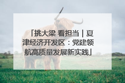 挑大梁 看担当｜夏津经济开发区：党建领航高质量发展新实践