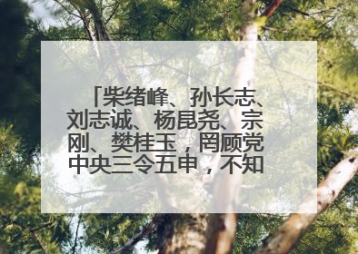 柴绪峰、孙长志、刘志诚、杨昆尧、宗刚、樊桂玉，罔顾党中央三令五申，不知敬畏、我行我素、肆意妄为！