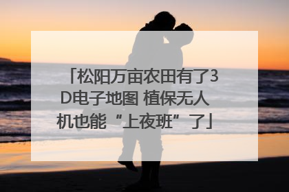 松阳万亩农田有了3D电子地图 植保无人机也能“上夜班”了