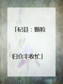 杞县：颗粒归仓丰收忙