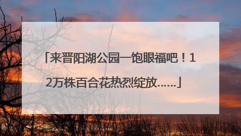 来晋阳湖公园一饱眼福吧！12万株百合花热烈绽放……