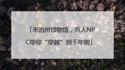 来沧州博物馆，真人NPC带你“穿越”到千年前