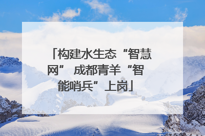 构建水生态“智慧网” 成都青羊“智能哨兵”上岗