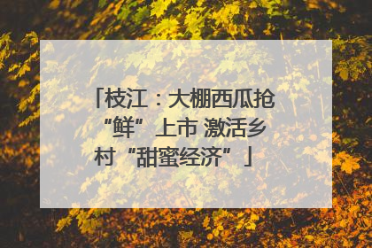 枝江：大棚西瓜抢“鲜”上市 激活乡村“甜蜜经济”