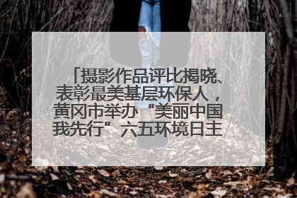 摄影作品评比揭晓、表彰最美基层环保人，黄冈市举办“美丽中国我先行”六五环境日主题宣传活动