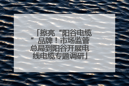 擦亮“阳谷电缆”品牌！市场监管总局到阳谷开展电线电缆专题调研