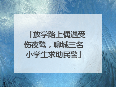 放学路上偶遇受伤夜鹭，聊城三名小学生求助民警