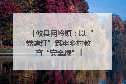攸县网岭镇：以“党建红”筑牢乡村教育“安全绿”