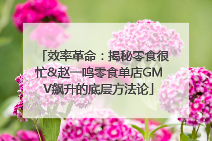 效率革命：揭秘零食很忙&赵一鸣零食单店GMV飙升的底层方法论