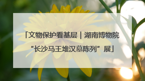 文物保护看基层｜湖南博物院“长沙马王堆汉墓陈列”展