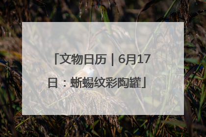 文物日历｜6月17日：蜥蜴纹彩陶罐